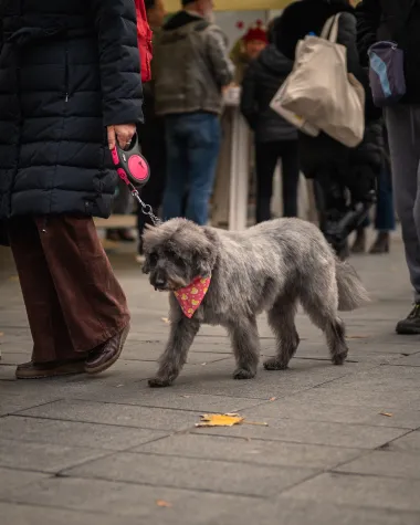 Zagrebačka špica odisala je elegancijom, počelo je blagdansko vrijeme