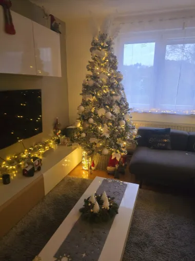 Božićna inspiracija! Pogledajte ukrašene domove naših čitateljica za božićne blagdane