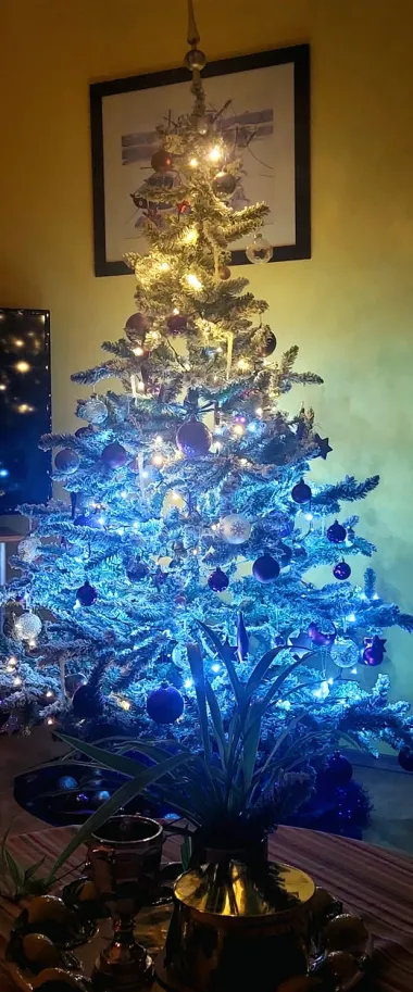 Pogledajte božićne jelke naših čitateljica koje osvajaju na prvi pogled