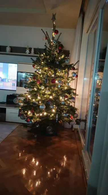 Pogledajte božićne jelke naših čitateljica koje osvajaju na prvi pogled
