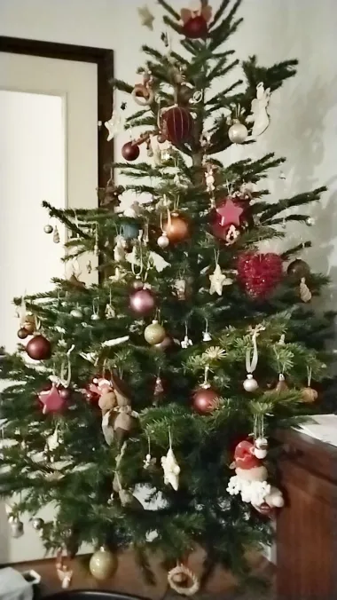 Pogledajte božićne jelke naših čitateljica koje osvajaju na prvi pogled