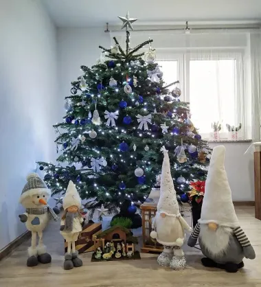 Božićno jutro u domovima naših čitateljica - 30 predivnih fotografija