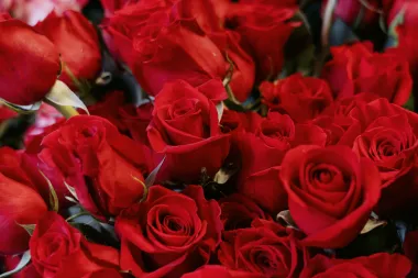 Kišno Valentinovo u centru Zagreba - mnogi su se odlučili za romantiku