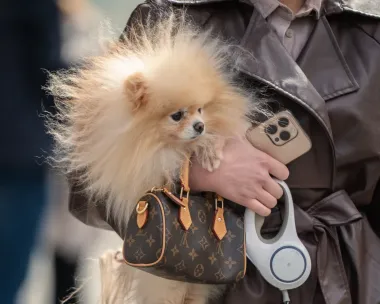 Zagrebačka špica i Louis Vuitton: Kako nositi dizajnerske torbice  u opuštenim i elegantnim stilovima