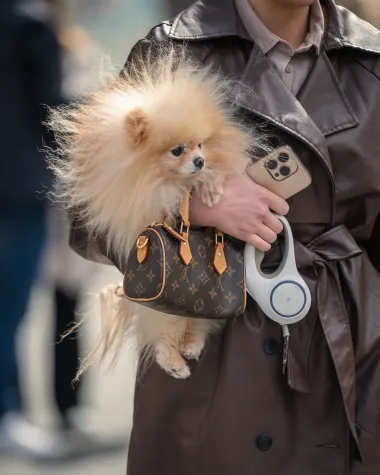 Zagrebačka špica i Louis Vuitton: Kako nositi dizajnerske torbice  u opuštenim i elegantnim stilovima