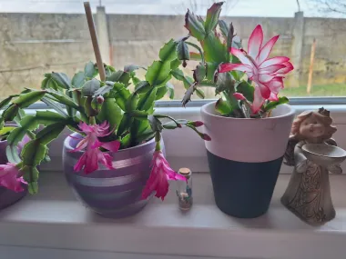 Snježana kaže da je tajna u vodi, suncu i ljubavi.