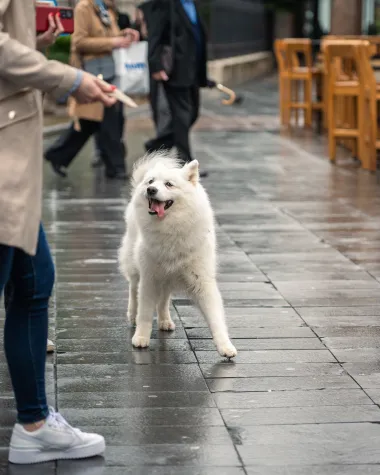 Zagrebačka &scaron;pica: Velika fotogalerija iz centra s top modnim izdanjima