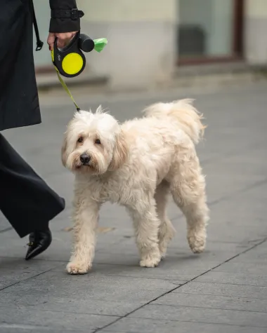 Zagrebačka &scaron;pica: Velika fotogalerija iz centra s top modnim izdanjima