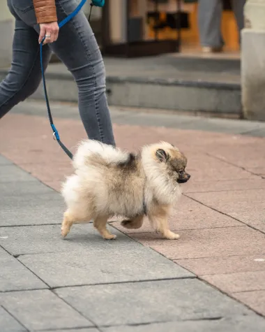 Zagrebačka &scaron;pica: Velika fotogalerija iz centra s top modnim izdanjima