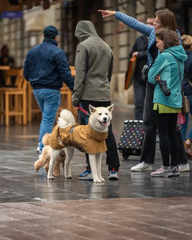 Zagrebačka &scaron;pica: Velika fotogalerija iz centra s top modnim izdanjima