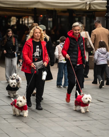 Zagrebačka špica: Zanosne plavuše i kratke suknje razbile monotoniju jesenjeg dana