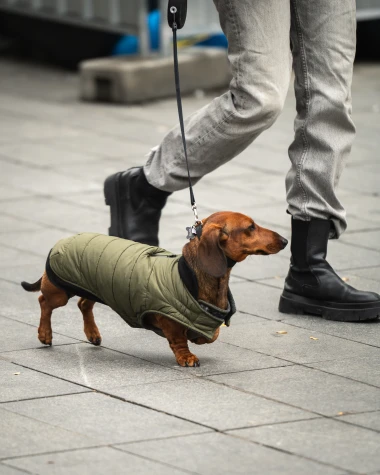 Zagrebačka špica: Zanosne plavuše i kratke suknje razbile monotoniju jesenjeg dana