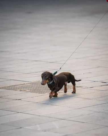 Lijepe žene su preuzele zagrebačku špicu: Pogledaj jesenski modni izlog grada