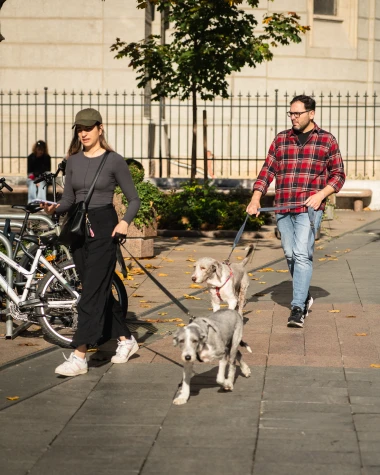 Lijepe žene su preuzele zagrebačku špicu: Pogledaj jesenski modni izlog grada