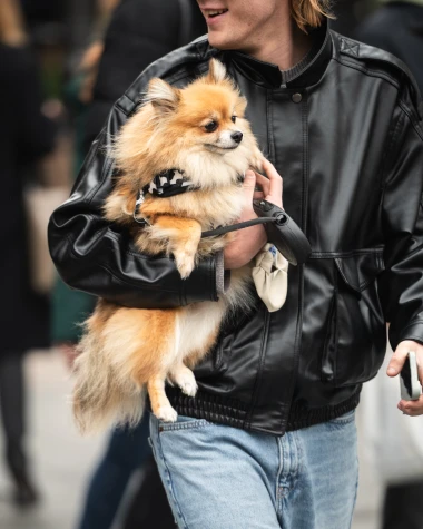 Zagrebačka špica: Besprijekorni outfiti Zagrepčanki uljepšali tmuran dan u metropoli