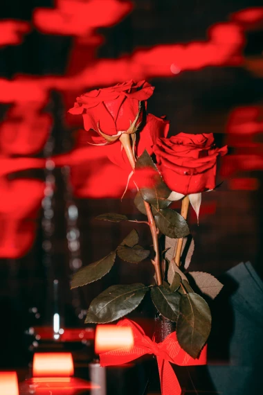 Otvoren Noir43 – restoran i bar s jedinstvenim konceptom u srcu Zagreba