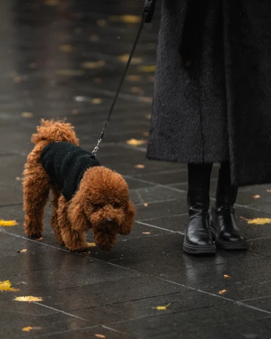 Zagrepčanke prkose hladnoći: Pogledajte zimske outfite koji su zapalili špicu!