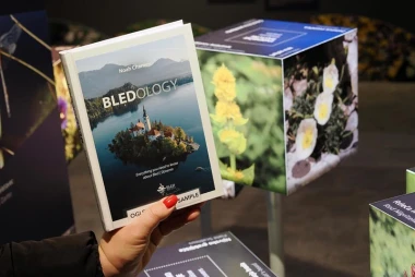 Zimska čarolija samo 140 km od Zagreba: Vodič za advent na Bledu