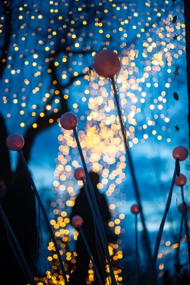 Mjesto gdje Advent postaje čarolija: Mjesečev vrt vraća romantiku Gornjem gradu