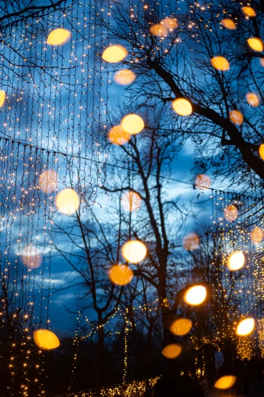 Mjesto gdje Advent postaje čarolija: Mjesečev vrt vraća romantiku Gornjem gradu