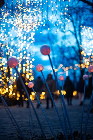 Mjesto gdje Advent postaje čarolija: Mjesečev vrt vraća romantiku Gornjem gradu