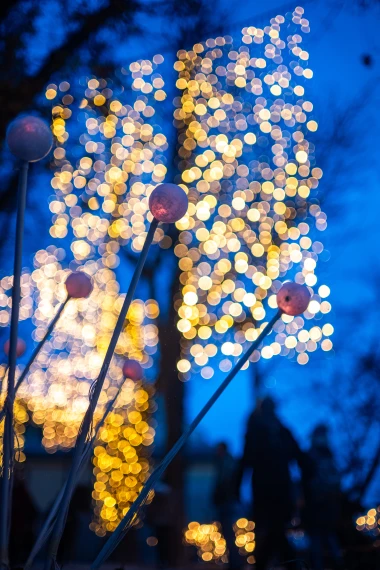 Mjesto gdje Advent postaje čarolija: Mjesečev vrt vraća romantiku Gornjem gradu