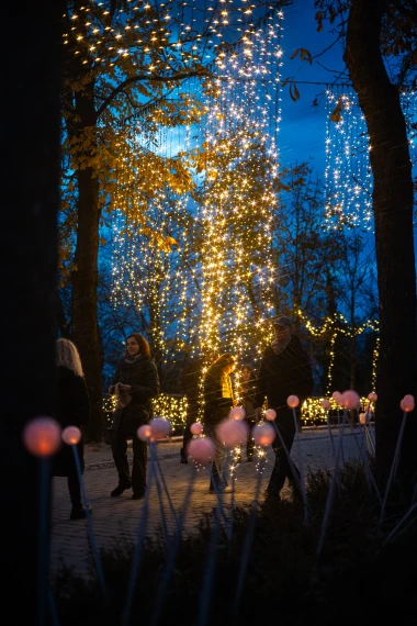 Mjesto gdje Advent postaje čarolija: Mjesečev vrt vraća romantiku Gornjem gradu