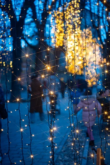 Mjesto gdje Advent postaje čarolija: Mjesečev vrt vraća romantiku Gornjem gradu