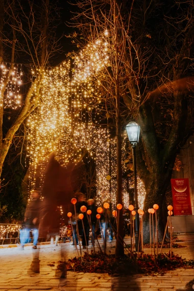 Mjesto gdje Advent postaje čarolija: Mjesečev vrt vraća romantiku Gornjem gradu