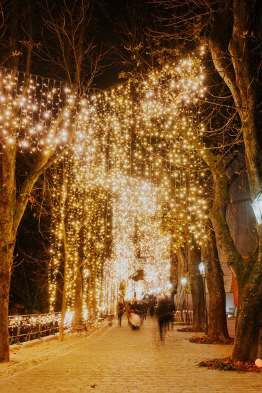 Mjesto gdje Advent postaje čarolija: Mjesečev vrt vraća romantiku Gornjem gradu