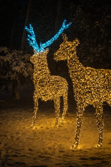 Čarolija svjetla u Trako&scaron;ćanu: Nove instalacije odu&scaron;evit će velike i male