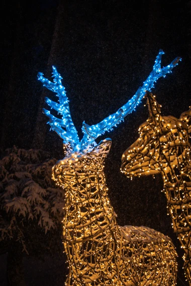 Čarolija svjetla u Trako&scaron;ćanu: Nove instalacije odu&scaron;evit će velike i male