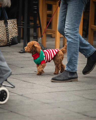 Zagrebačka &scaron;pica: Upečatljivi outfiti i blagdanska atmosfera u centru grada