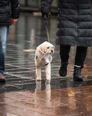 Ljepotice i ludilo u centru Zagreba, pogledajte kako je izgledao Badnjak na &scaron;pici
