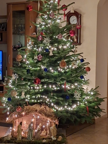 Zavirile smo u domove na&scaron;ih čitateljica: Pogledajte fotografije čarobnih božićnih jelki