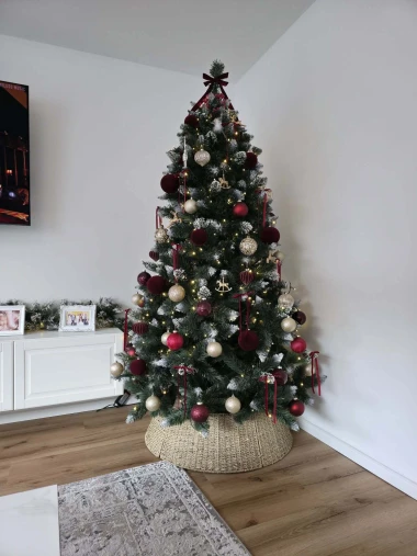 Zavirile smo u domove na&scaron;ih čitateljica: Pogledajte fotografije čarobnih božićnih jelki