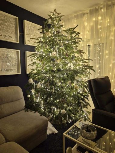 Zavirile smo u domove na&scaron;ih čitateljica: Pogledajte fotografije čarobnih božićnih jelki