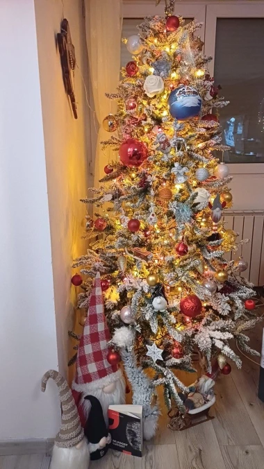 Zavirile smo u domove na&scaron;ih čitateljica: Pogledajte fotografije čarobnih božićnih jelki