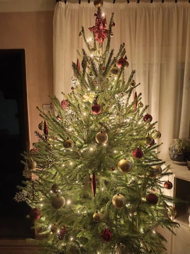 Zavirile smo u domove na&scaron;ih čitateljica: Pogledajte fotografije čarobnih božićnih jelki