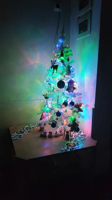 Zavirile smo u domove na&scaron;ih čitateljica: Pogledajte fotografije čarobnih božićnih jelki