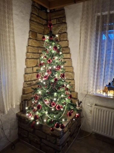 Zavirile smo u domove na&scaron;ih čitateljica: Pogledajte fotografije čarobnih božićnih jelki