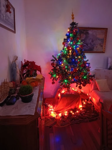 Zavirile smo u domove na&scaron;ih čitateljica: Pogledajte fotografije čarobnih božićnih jelki