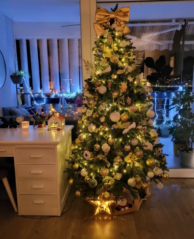 Zavirile smo u domove na&scaron;ih čitateljica: Pogledajte fotografije čarobnih božićnih jelki