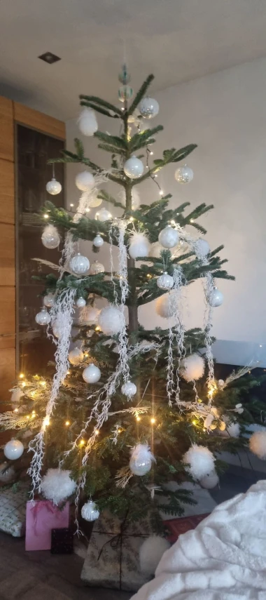 Zavirile smo u domove na&scaron;ih čitateljica: Pogledajte fotografije čarobnih božićnih jelki