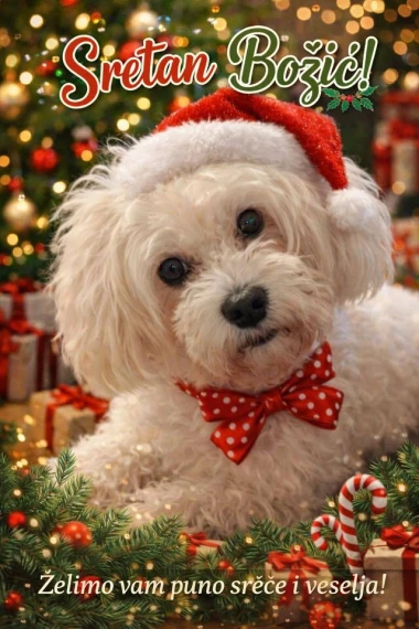 Ovo će vam popraviti dan: Preslatki ljubimci na&scaron;ih čitateljica u blagdanskom izdanju