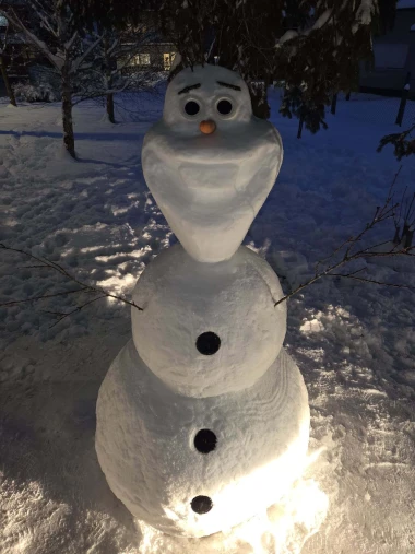 Od klasičnih do urnebesnih: 40 najsimpatičnijih snjegovića na&scaron;ih čitateljica