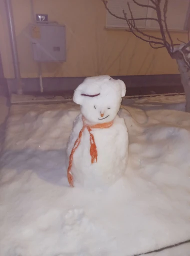 Od klasičnih do urnebesnih: 40 najsimpatičnijih snjegovića na&scaron;ih čitateljica