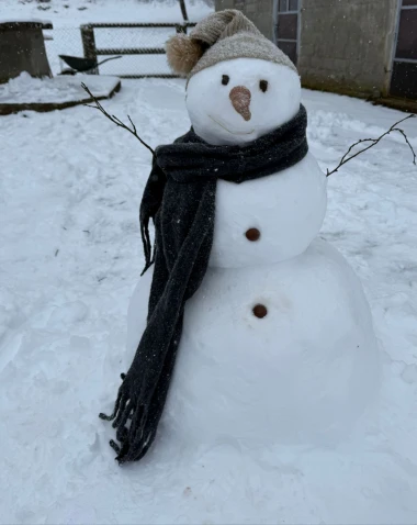 Od klasičnih do urnebesnih: 40 najsimpatičnijih snjegovića na&scaron;ih čitateljica