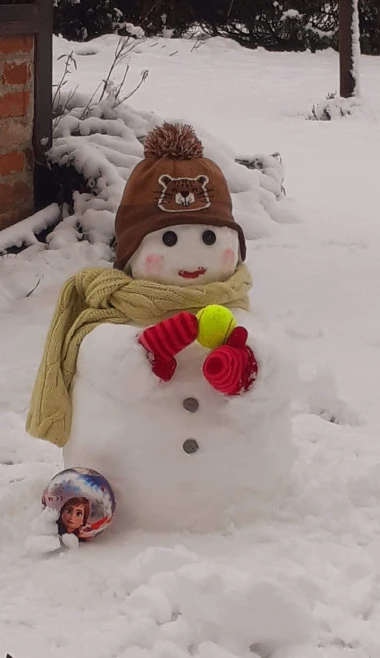 Od klasičnih do urnebesnih: 40 najsimpatičnijih snjegovića na&scaron;ih čitateljica