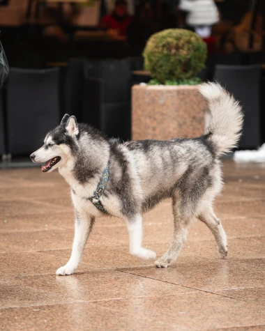 Subotnji modni spektakl na &scaron;pici: Zagrepčanke pokazale kako se to radi!